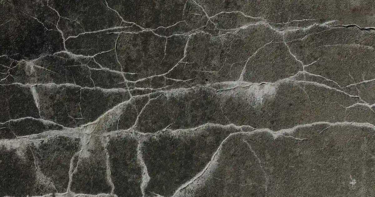 Kablosuz Barkod Okuyucuların Günümüzdeki Avantajları ve Kullanım Alanları