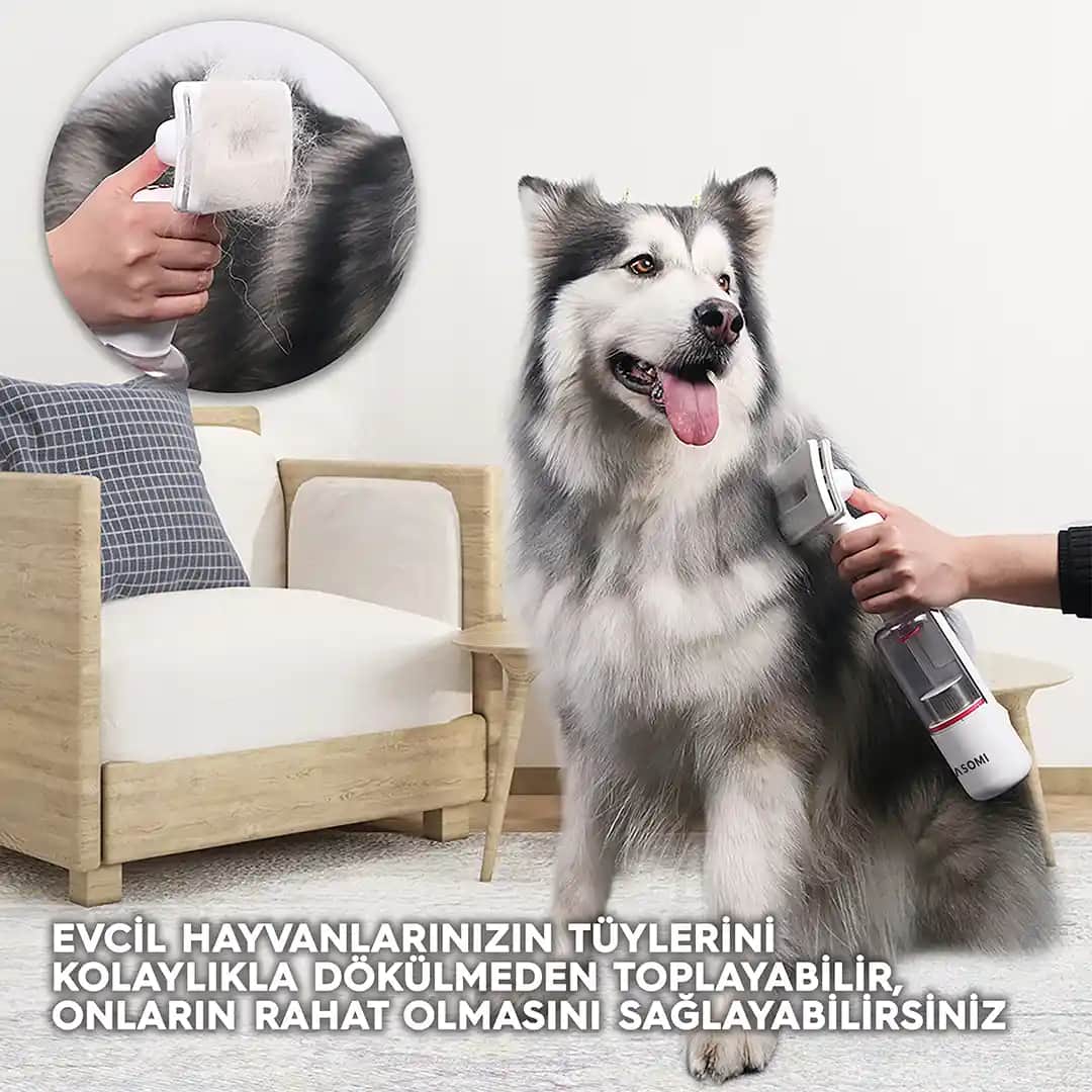 Kablosuz El Süpürgeleri: Modern Temizlikte Konfor ve Gücü Bir Arada Sunar