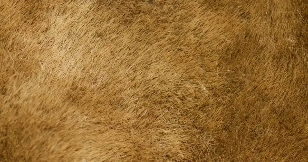 Kadınlar İçin Şık ve İşlevsel Laptop Sırt Çantası Seçerken Dikkat Edilmesi Gerekenler