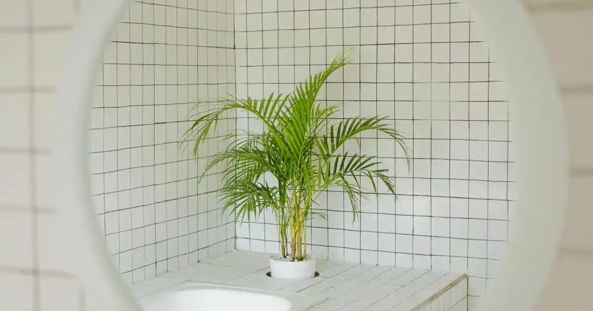 Kärcher 8/1 Elektronik ve Aksesuarlar ile Güçlü Temizlik Çözümleri