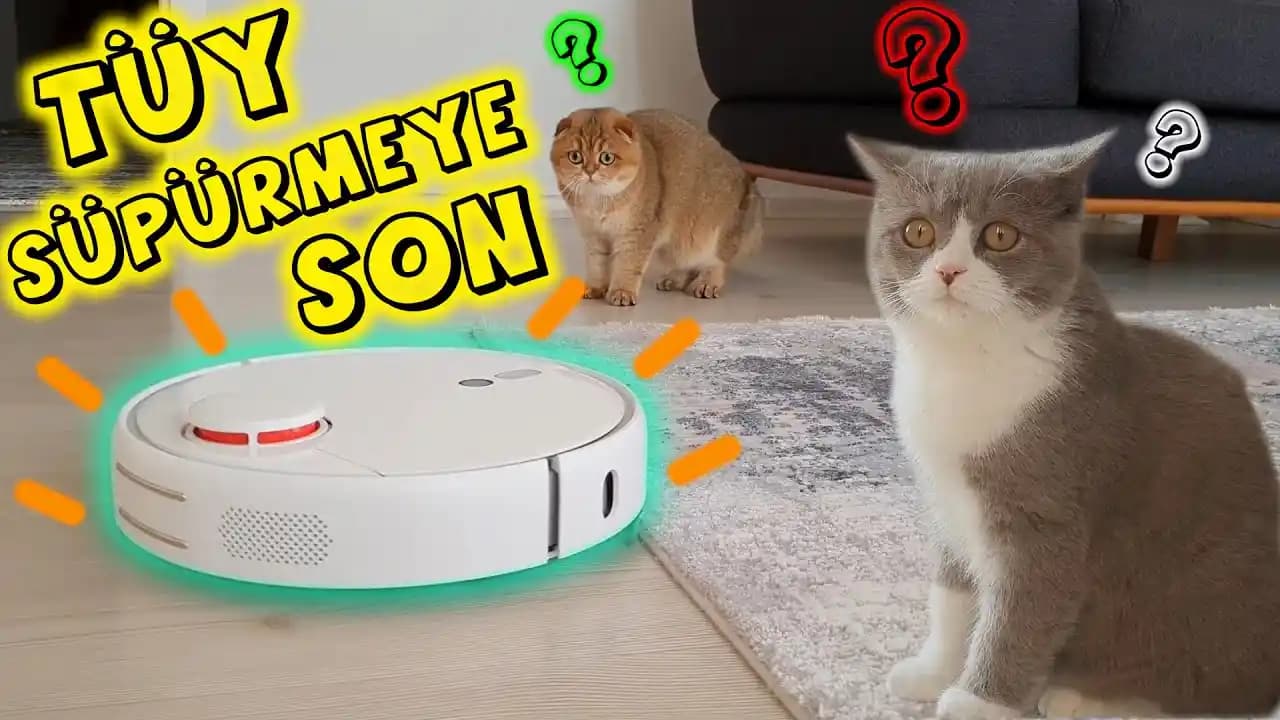 Kedi sahipleri için en iyi robot süpürge modelleri ve temizlik önerileri