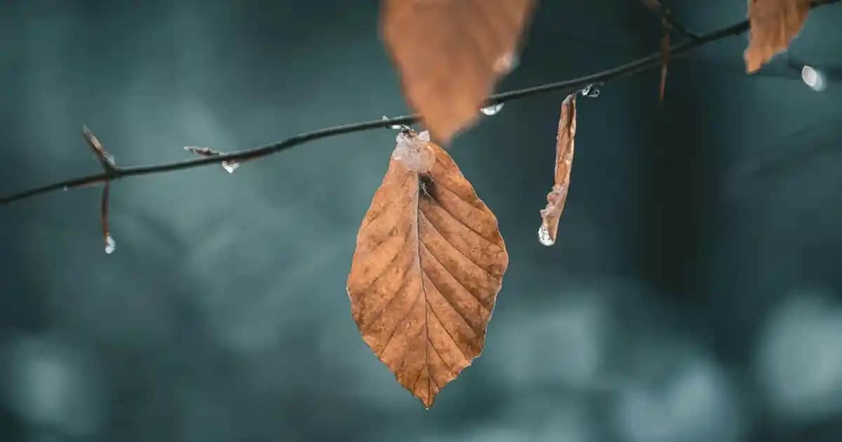 Konya'da Robot Teknolojileri ve Yarışmaları: Geleceğin Mesleklerine İlham Veren Etkinlikler