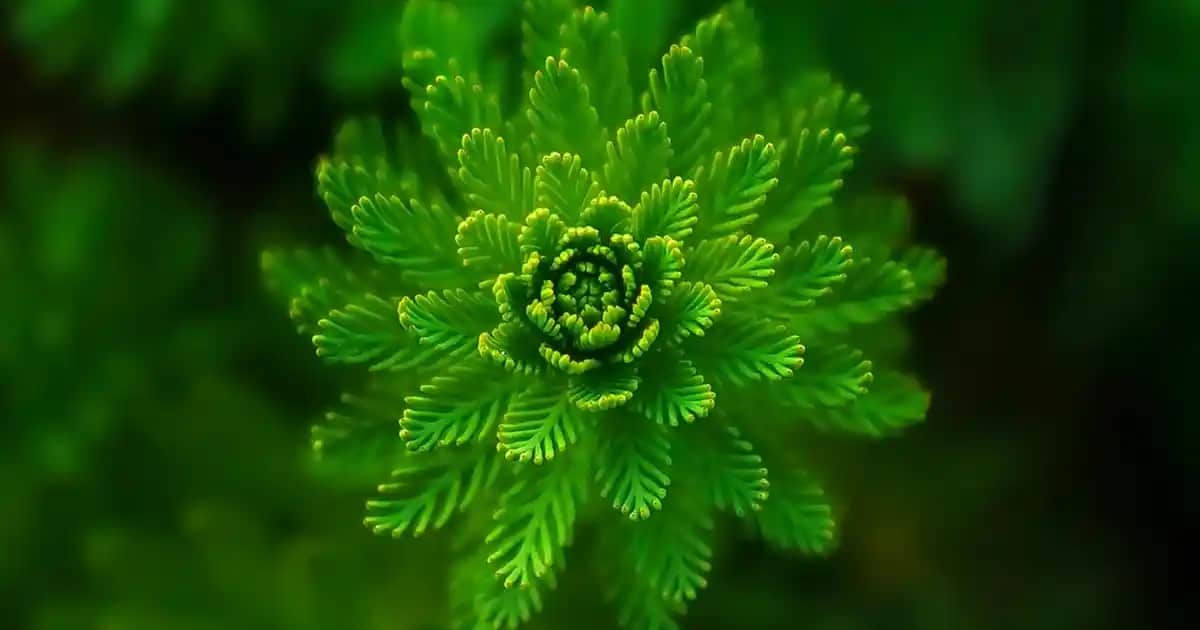 Küçük Powerbank’ler: Günlük Hayatta Pratik ve Taşınabilir Enerji Çözümleri