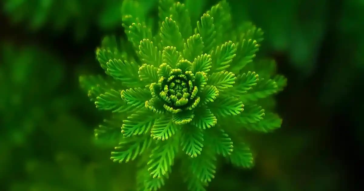 Küçük Powerbank’ler: Günlük Hayatta Pratik ve Taşınabilir Enerji Çözümleri