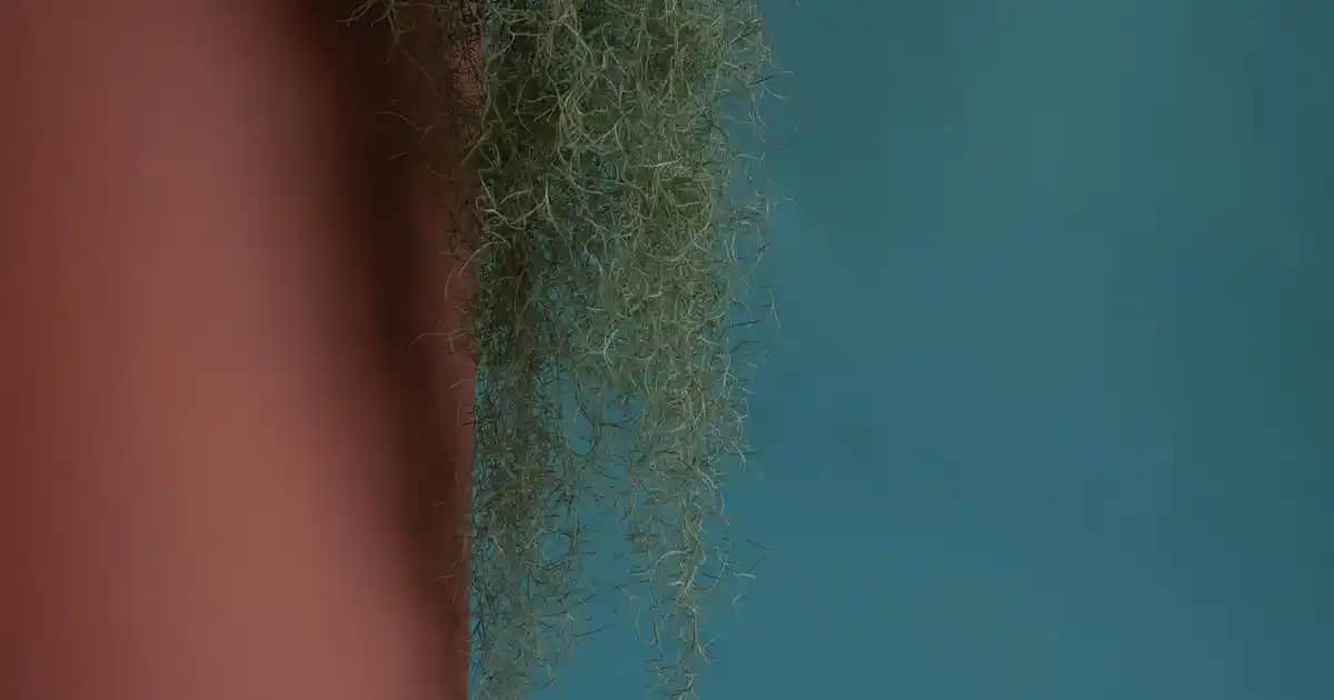 Logitech Pebble Keys 2 ve K380s ile Elektronik Aksesuarlarında Yenilikler ve Kullanım İpuçları