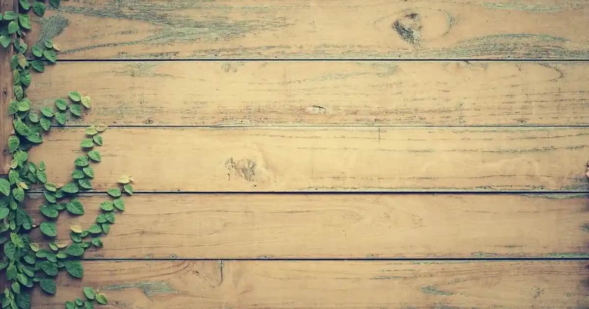 MASQ Şarj Aleti: Güvenilir, Hızlı ve Orijinal Şarj Çözümleri