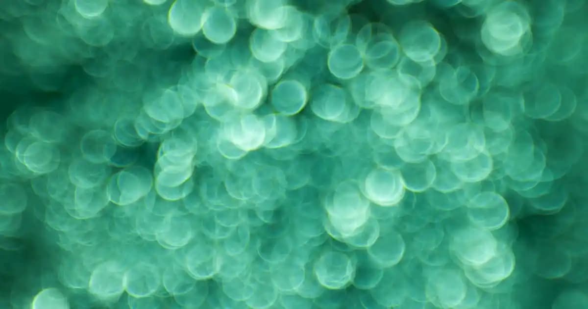 Media Markt ile iPhone Takas Seçenekleri ve Güncel Kampanyalar Hakkında Bilgi