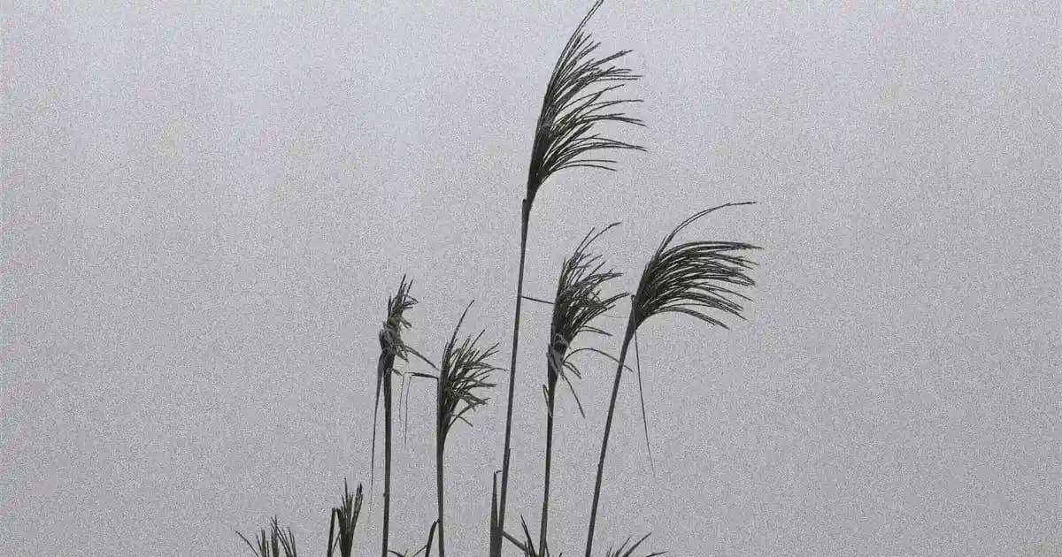 Media Markt'ta Güncel ve Güvenilir Laptop Seçim Rehberi 2023