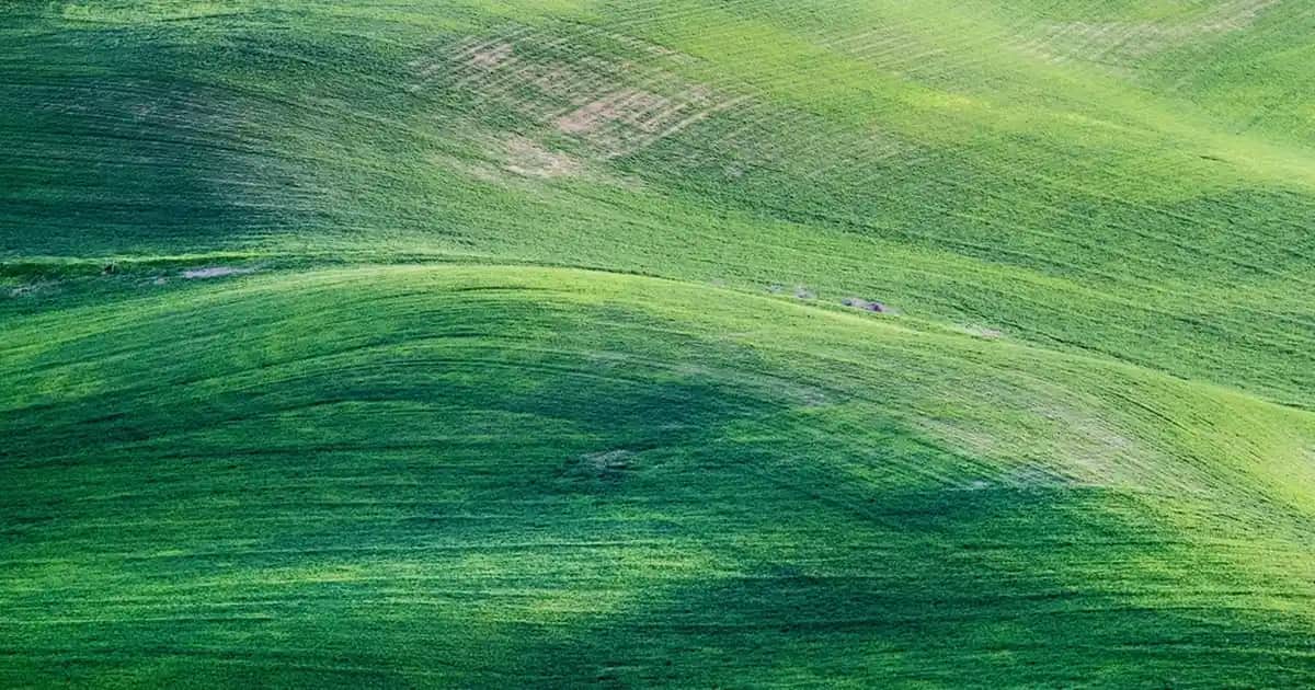 Media Markt ve Philips Marathon: Elektronik Aksesuarlarında Güçlü ve Dayanıklı Seçenekler