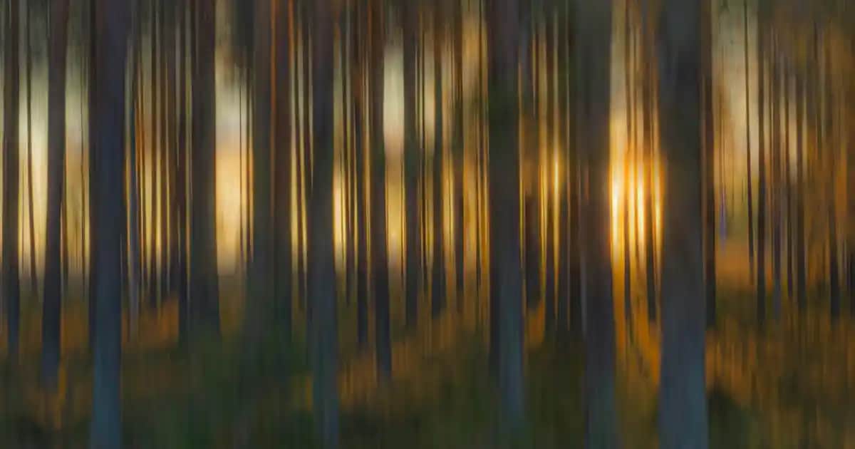 Media Markt ve Samsung A34: En Güncel Elektronik ve Aksesuar Trendleri ve Ürünleri