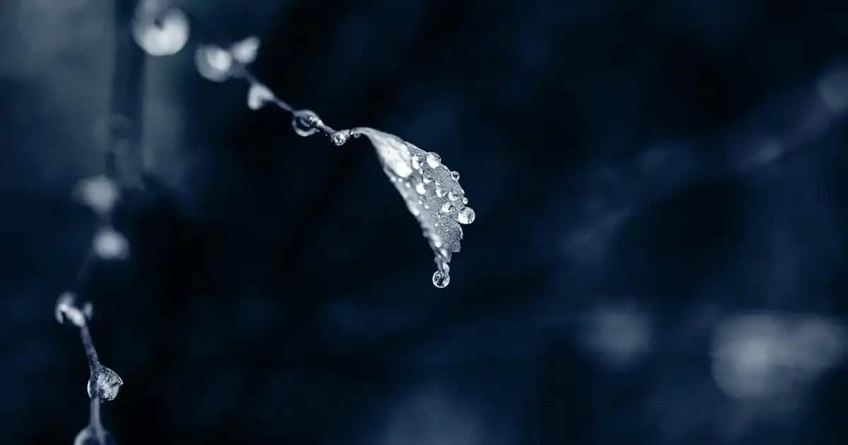 Mikser Şaker Nedir ve Mutfağınız İçin En İyi Seçenekler Nelerdir