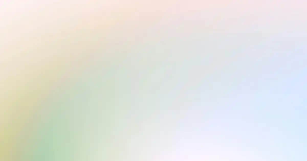 Monster Notebook Çantası: Güvenli ve Şık Taşıma Çözümünüz İçin Uygun Seçenekler