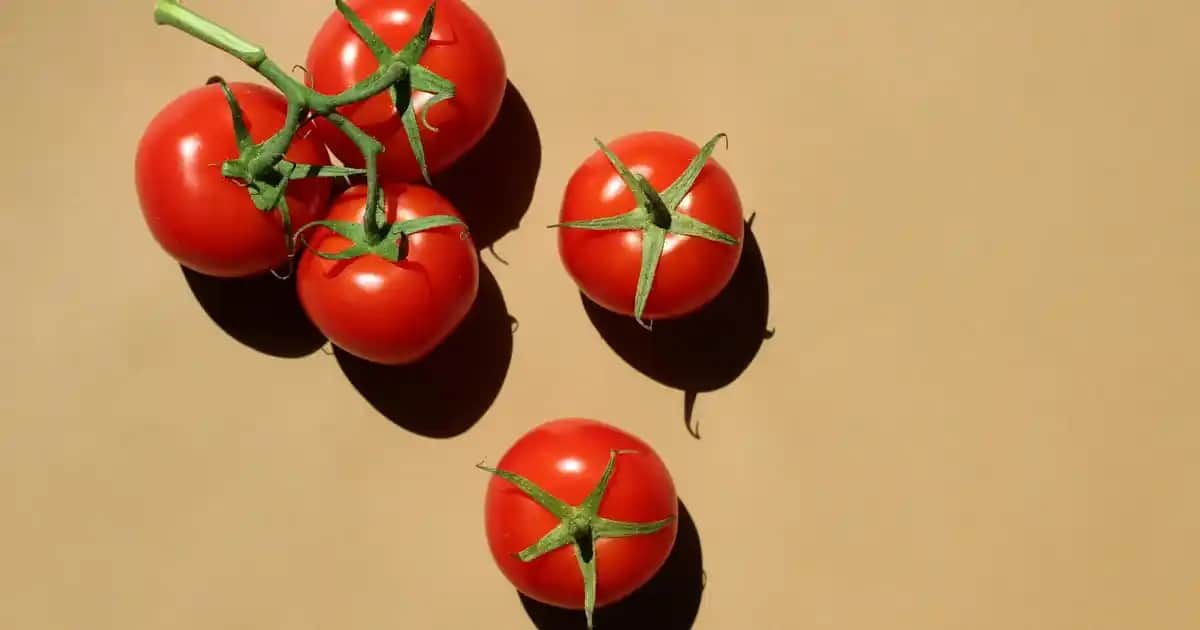 Nintendo Switch Lite: Hafif ve Taşınabilir Oyun Konsolu ile Mobil Eğlence Deneyimi