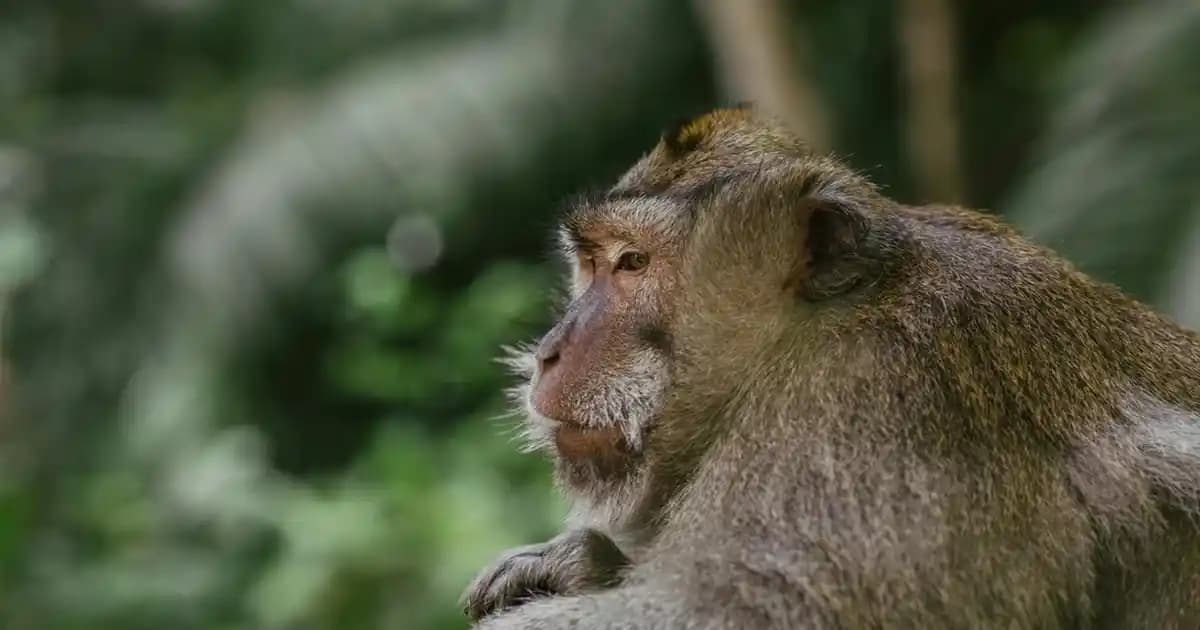 Öğrenciler İçin Dizüstü Bilgisayar İndirimleri ve En Uygun Modeller Hakkında Bilgilendirme