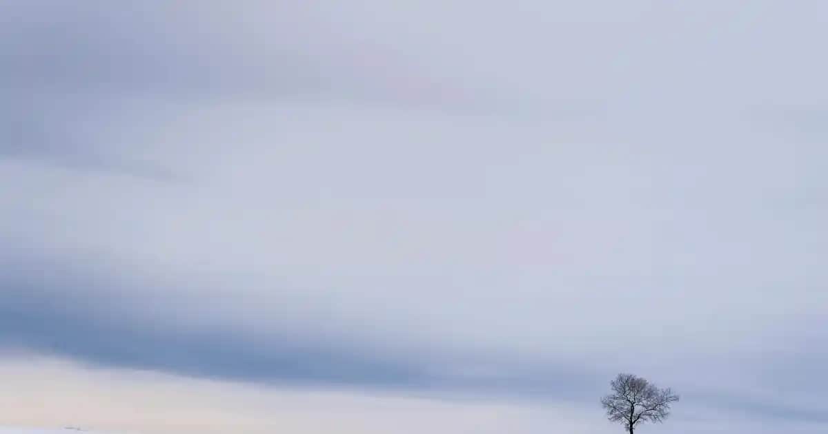 Philips Ambilight Teknolojisi ile Evinizde Sinematik ve Atmosfer Dönüşümü