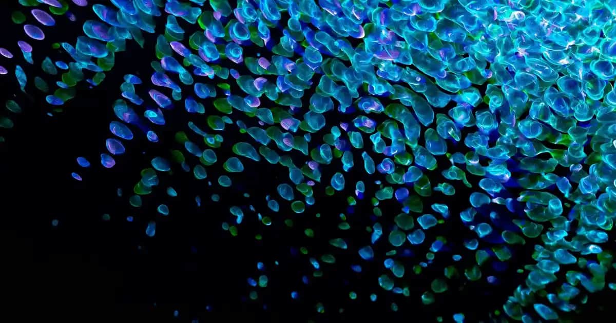 Philips PowerPro Max Süpürge Özellikleri ve Performans Değerlendirmesi