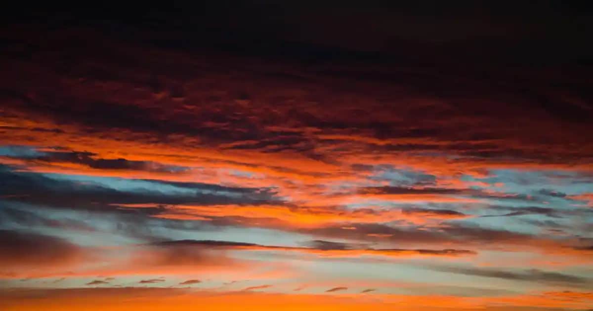 Remington Ürünleri ve MediaMarkt'ta Uygun Fiyatlı Satış Seçenekleri