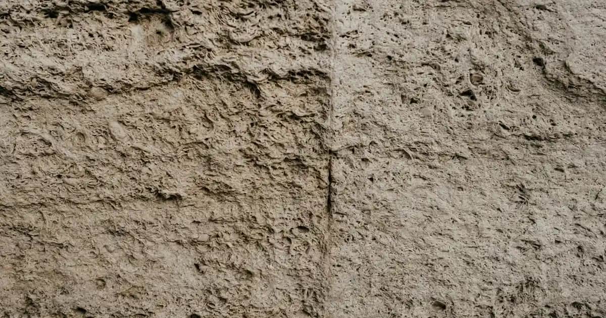 Robot Süpürgelerde Toz Torbası Seçimi ve Bakımının Temizlikteki Rolü