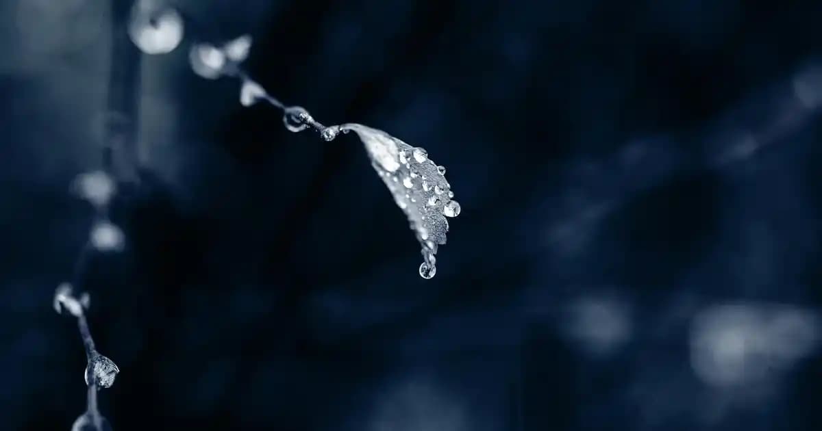 Samsung Galaxy Note 8: Gelişmiş Özellikleri ve Kullanıcı Deneyimi Analizi