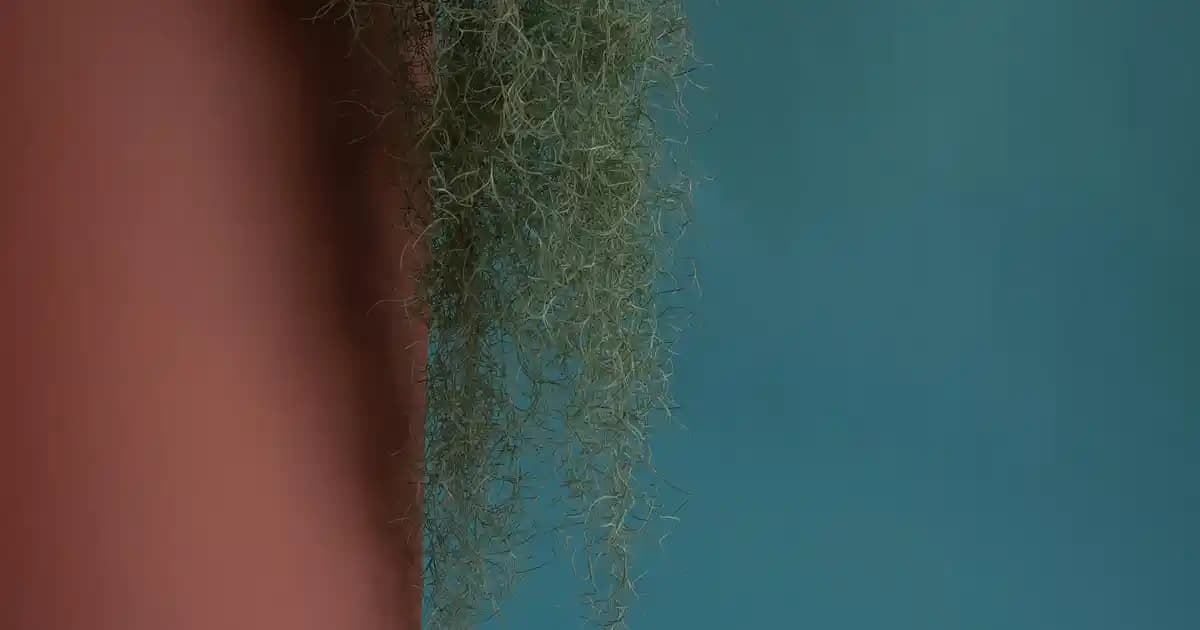 Samsung Galaxy S24 Ultra: Yüksek Performans ve Yeniliklerle Donatılmış Akıllı Telefon