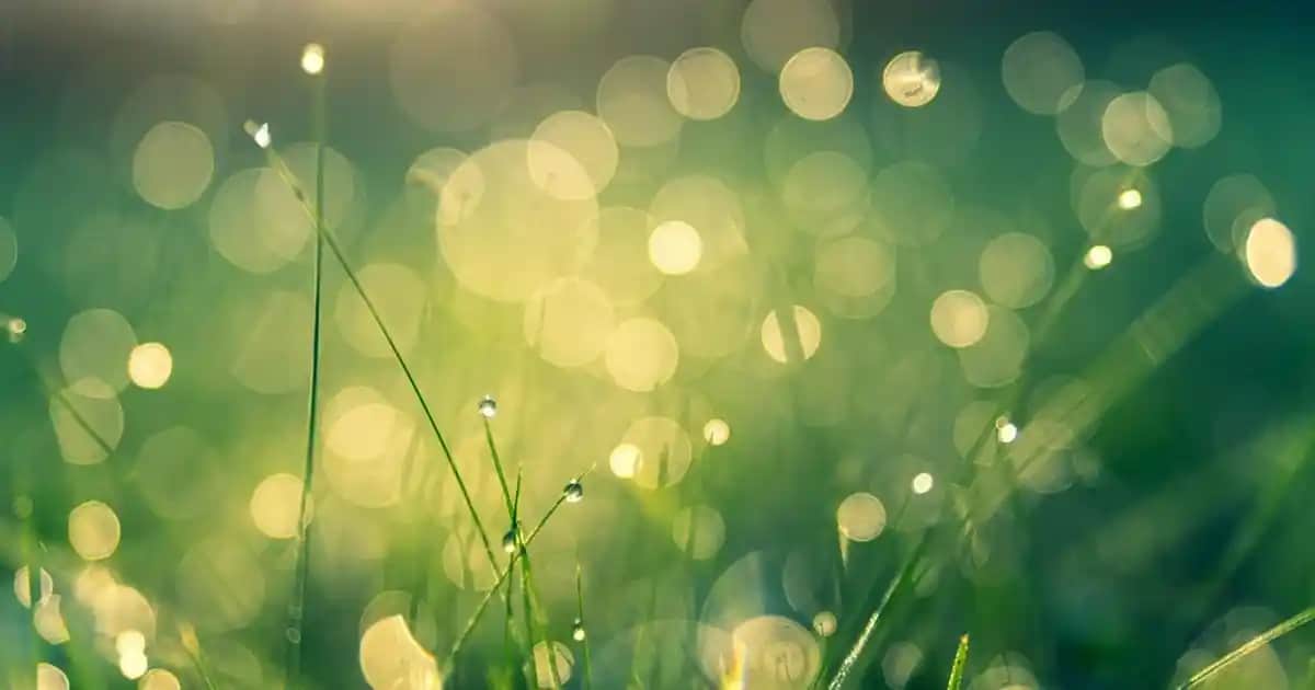 Samsung Galaxy Tab A6 Özellikleri ve Günümüzdeki Uygunluk Durumu