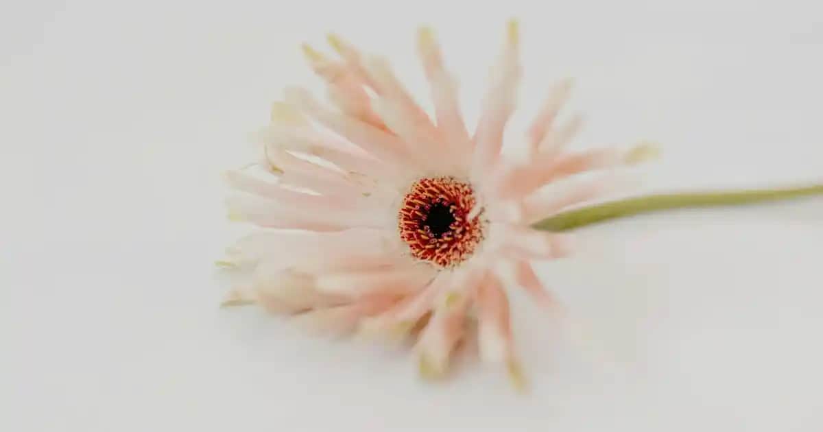 Samsung Ses Sistemleri ile Evde Sinema Atmosferi Yaratmanın Yolları ve En İyi Modeller