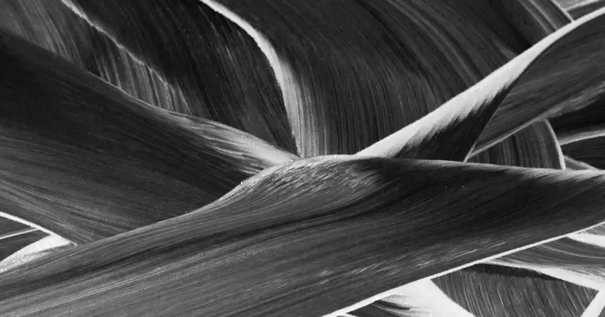 Shomi Robot Süpürge: Akıllı Ev Temizliğinde Yeni Nesil Teknoloji Çözümleri