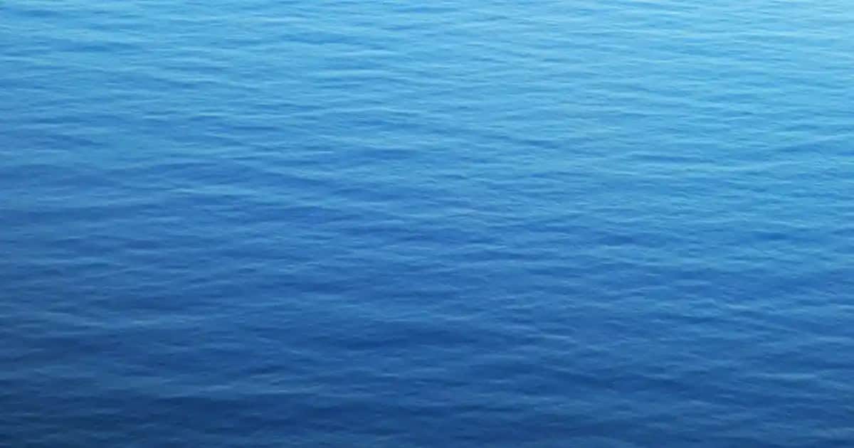 Silip Süpüren Elektrik Süpürgeleri: Modern Temizlik Teknolojileri ve Trendler