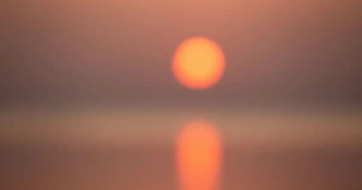 Siyah Beyaz Fotoğraf Makinesi Seçimi ve Kullanım İpuçları