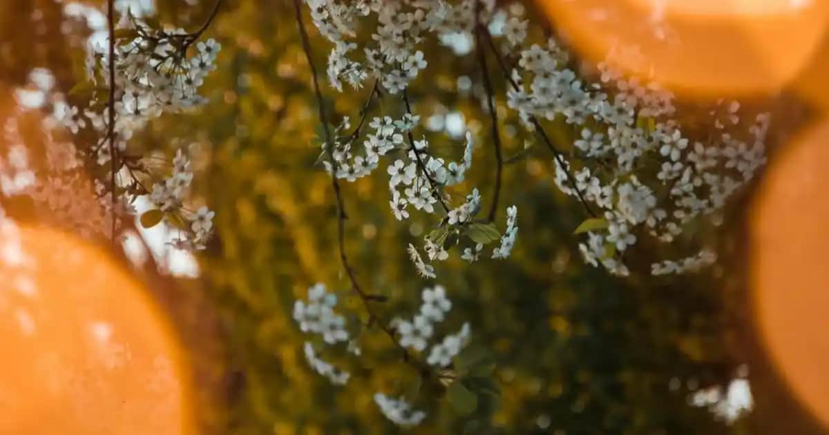 Su Boru Kaynak Makinası: Elektronik ve Aksesuarlarla Modern Tesisat Çözümleri