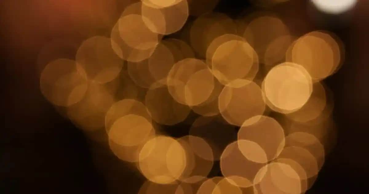 Sunny Flora Temasıyla Elektronik ve Aksesuar Tasarımlarında Doğadan İlham Alan Yenilikler