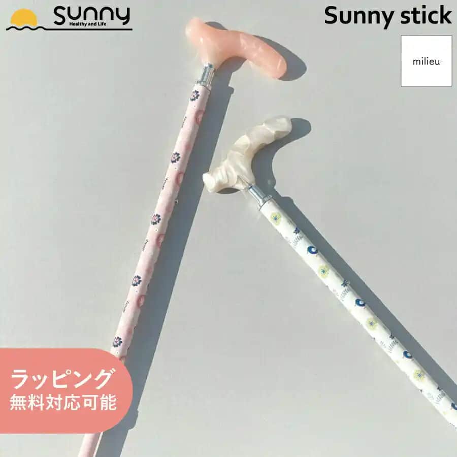 Sunny Stick Nedir ve Elektronik Dünyasında Sunmuş Olduğu Avantajlar Nelerdir