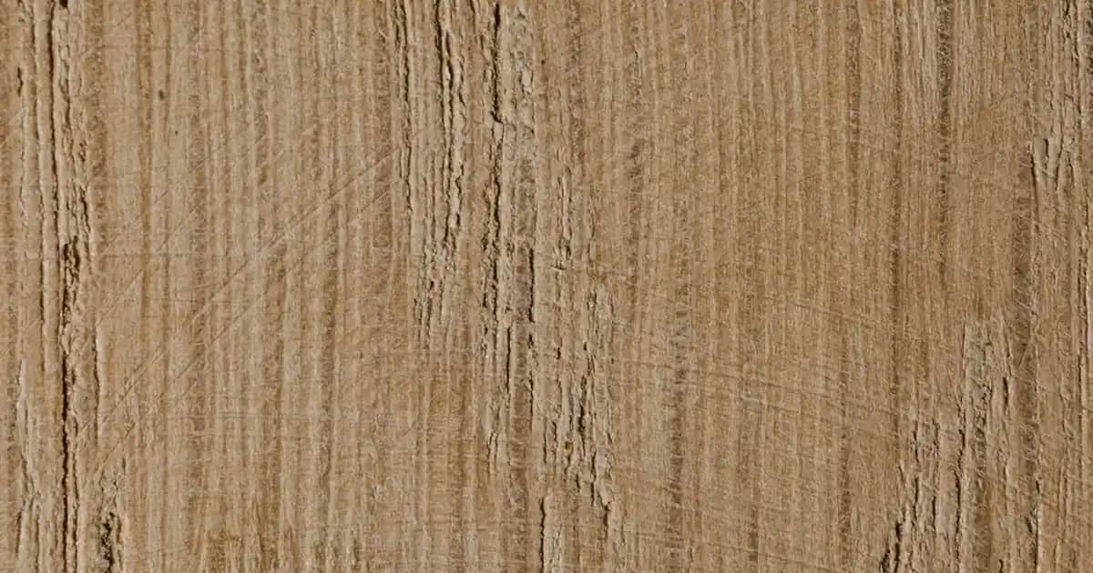 Vsett 11+ Elektrikli Scooter: Güçlü Performans ve Yenilikçi Teknolojiler