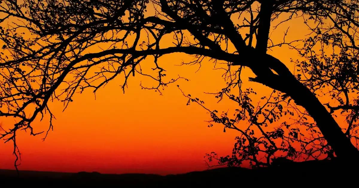 Xiaomi Mi 13 T Pro Özellikleri ve Teknolojik Yenilikler Hakkında Detaylı Bilgi