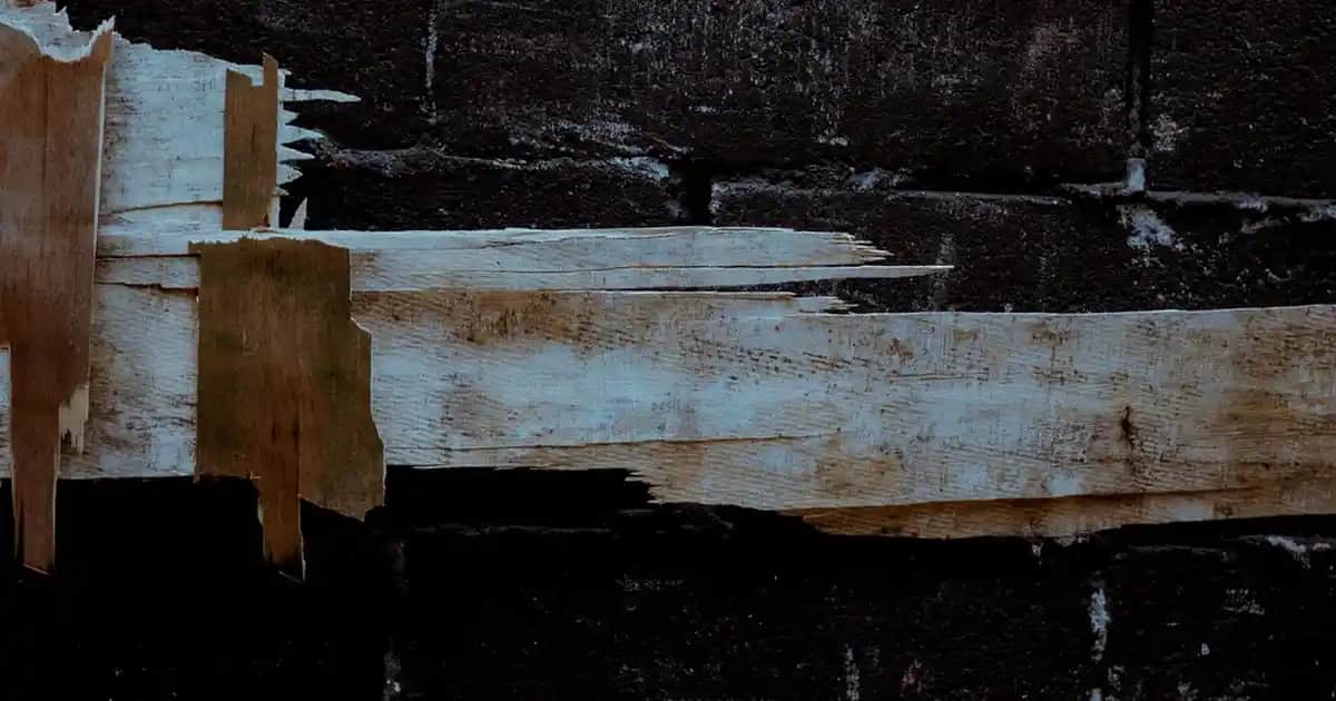 Xiaomi Robot Süpürge Uygulaması: Akıllı Temizlikte Etkili Kontrol ve Verimlilik