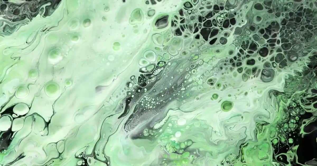 Xiaomi Ürünlerinde İthalatçı ve Türkiye Garantisi Arasındaki Farklar ve Dikkat Edilmesi Gerekenler