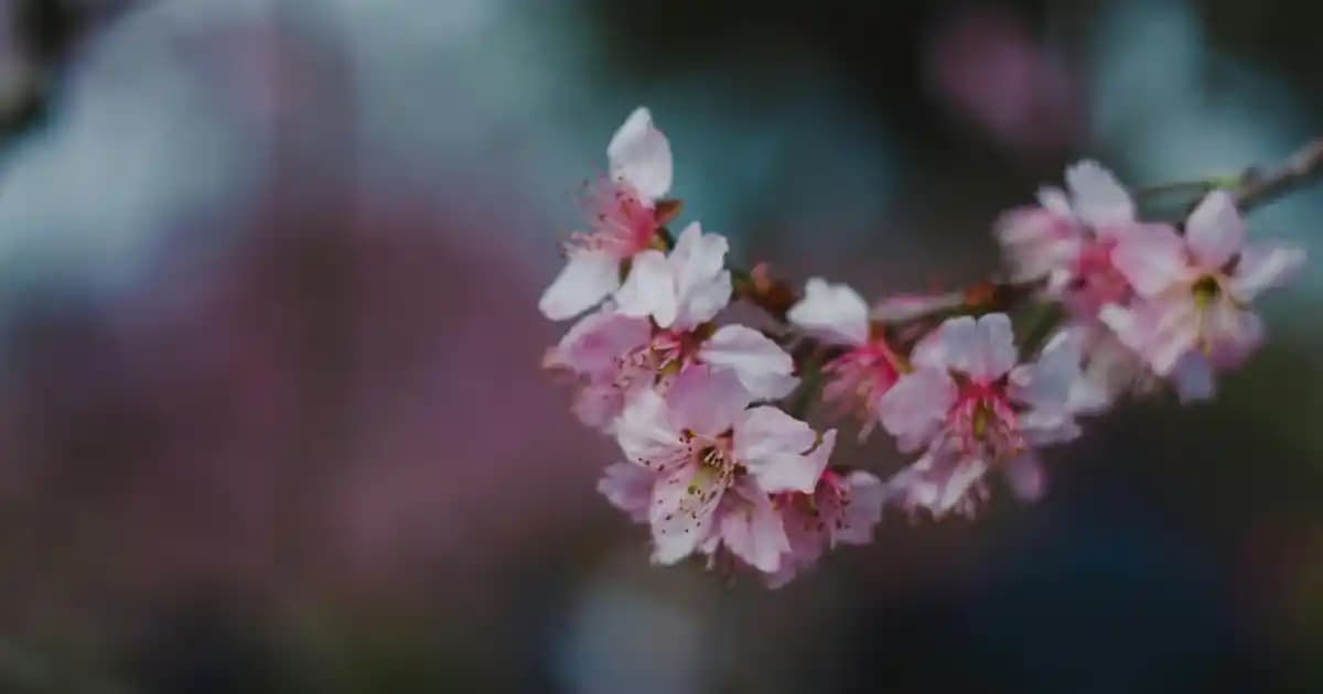 Yenilenmiş Elektronik Ürünler: Ekonomik ve Güvenilir Seçenekler Hakkında Güncel Bilgiler
